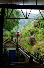 Eisenbahn in Malaysia nahe Krabi in Thailand (400 Km)