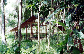 Kautschukplantage Schutzhütte zum übernachten der Kautschuk Ernter in Thailand