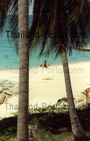 Traumstrand auf der Insel Phuket in Thailand. Aus den Palmen heraus fotografiert. Solche einsame Strände, da kann man Island Hopping machen auf Deutsch gesagt Inselhüpfen.