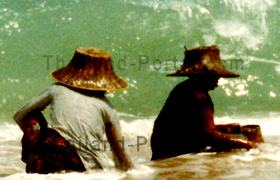 Thailänderinnen, die am Strand nach Muscheln suchen für das Abendessen. Dazu sitzen sie mit ihren Sarongs bis zur Hüfte im türkisfarbenen Wasser.