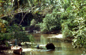 Kleiner Fluss in Thailand mitten im Regenwald unter Palmen. Ein Fischer mit seinem hölzernen Boot am Ufer bei der Suche nach essbarem.